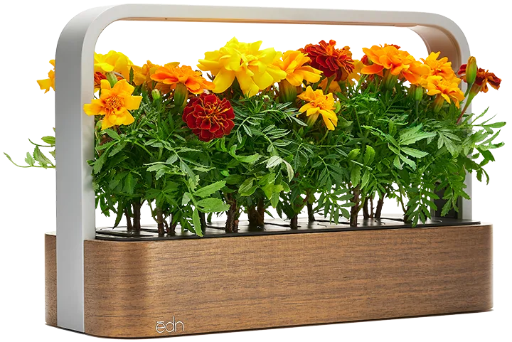 SmallGarden